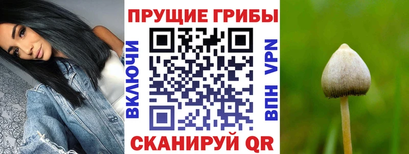 hydra ссылка  Сосновый Бор  Псилоцибиновые грибы мухоморы 